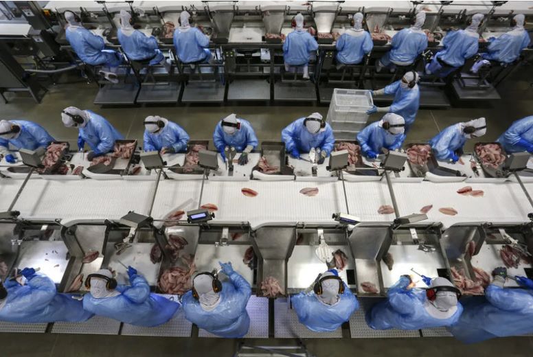 Emprego de sobra: cidades do PR têm vagas abertas no setor do agro
